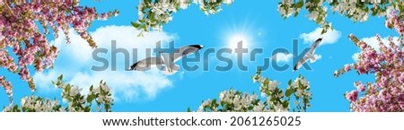 Panoramic sky view. Pink, white spring flowers and birds flying in a sunny sky. sky background with seagulls. flowery sky bottom view