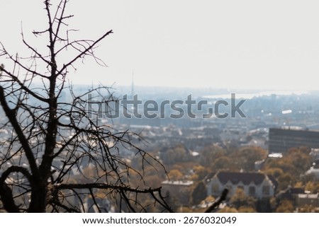 The panoramic skyline of a distant town is partially obscured by a barren tree, suggesting a quiet autumn or winter scene.