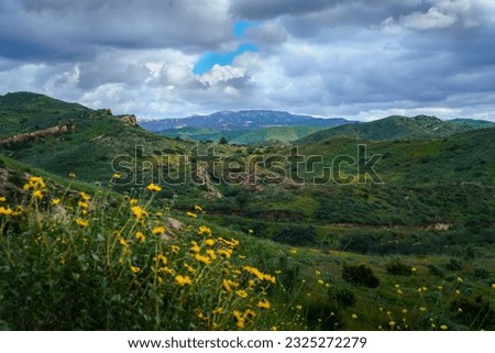 Panoramic spring green mountains view from hiking trail in Chino Hills State Park , yellow flowers on foreground, cloudy sky, rain clouds