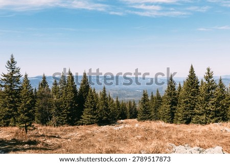 Panoramic spring landscape with conifer forest and distant ridges on Big Iremel Mountain near Tyulyuk, Republic of Bashkortostan, Russia under clear blue sky