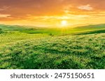 panoramic spring season landscape of beautiful greel field with yellow and salad hills and mountains in countryside