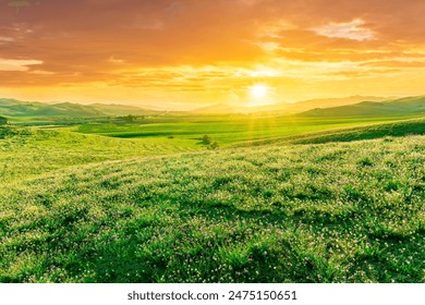 panoramic spring season landscape of beautiful greel field with yellow and salad hills and mountains in countryside - Powered by Shutterstock