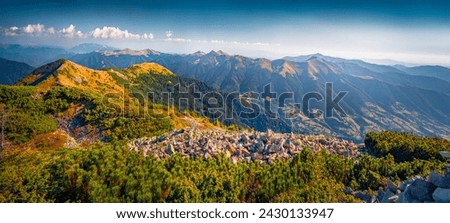 Panoramic summer view of Pishkonya mountain range with Barvinok peak on background. Astonishing morning scene of Carpathian mountains, Ukraine, Europe. Beauty of nature concept background.
