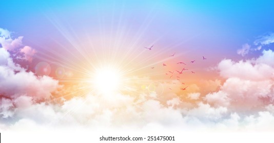 Panoramic sunrise. High resolution morning sky background. Rising sun and birds breaking through white clouds