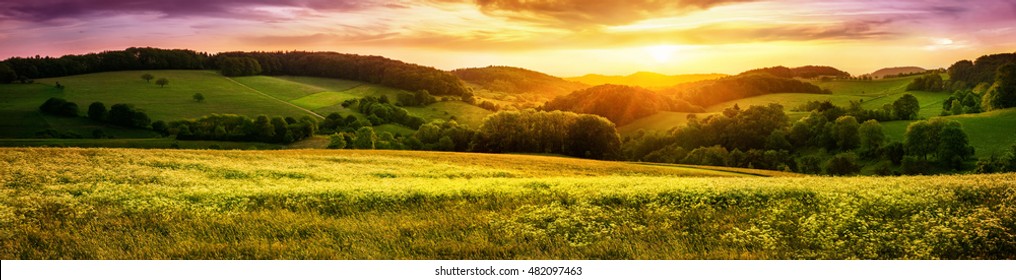 Panoramic sunset over a vast blossoming meadow landscape, with hills on the horizon and colorful sky