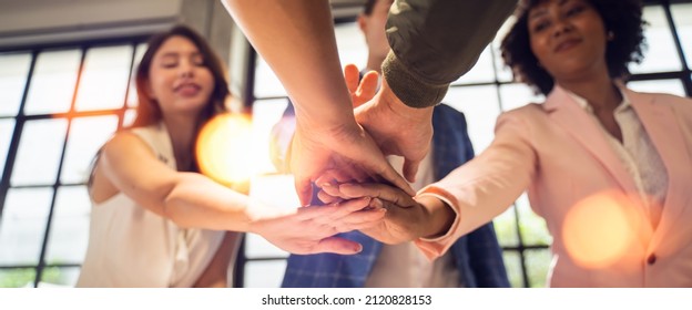 Panoramic Teamwork,empathy,partnership And Social Connection In Business Join Hand Together Concept.Hand Of Diverse People Connecting.Power Of Volunteer Charity Work, Stack Of People Hand.