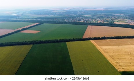 Panoramic top view of different agricultural fields. Yellow wheat fields and fields with other green agricultural plants. Aerial drone view. Agrarian agricultural background. Circle rotation view.
