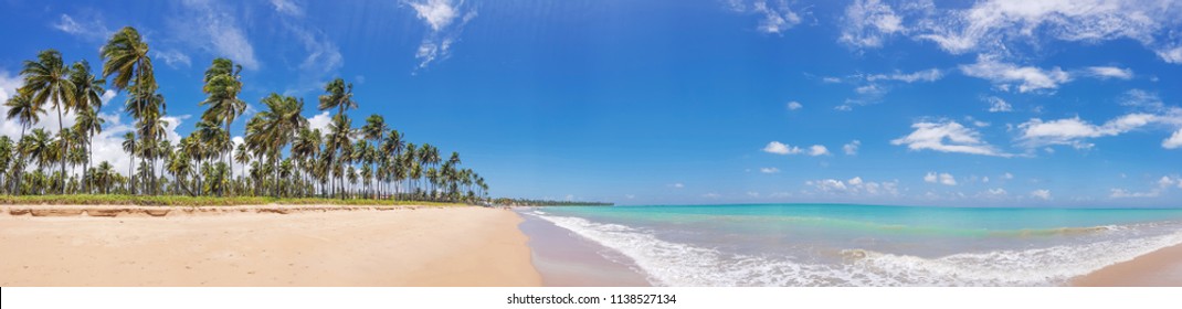 Panoramic Tropical Beach With Palm Trees In Maceió, Brazil.