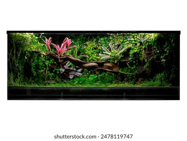 Panoramic Tropical Terrarium with Pink Bromeliads - Powered by Shutterstock