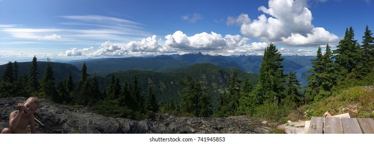 Panoramic view