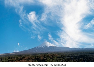 Panoramic view of active stratovolcano Mt. Fuji with snow covered symmetrical cone and green vegetation in foreground and white feather clouds in blue sky and half moon above the mountain top