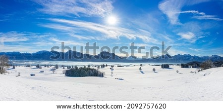 panoramic view to alps mountain range and lake Forggensee in Bavaria