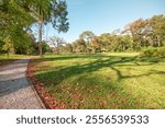 Panoramic view of Quiriguá archaeological park, surrounded by lush forests.