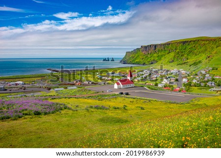 Panoramic view of basalt stacks Reynisdrangar, volcanic black sand beach and violet lupine and yellow meadow flowers at Vik town, South Iceland, at summer sunny day and blue sky