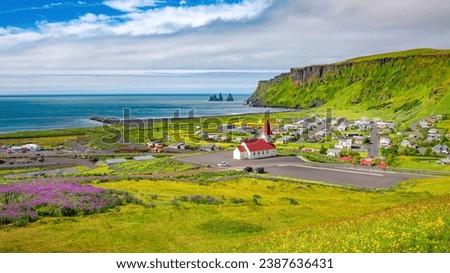 Panoramic view of basalt stacks Reynisdrangar, volcanic black sand beach and violet lupine and yellow meadow flowers at Vik town with Myrdal church, Iceland, at summer sunny day and blue sky.