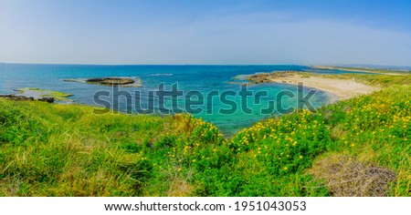 Panoramic view of the beach, coves and sandstone cliffs in Dor beach, Northern Israel