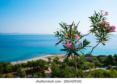 Panoramic view of beach of town of Afytos, Kassandra, Chalkidiki, Central Macedonia, Greece.