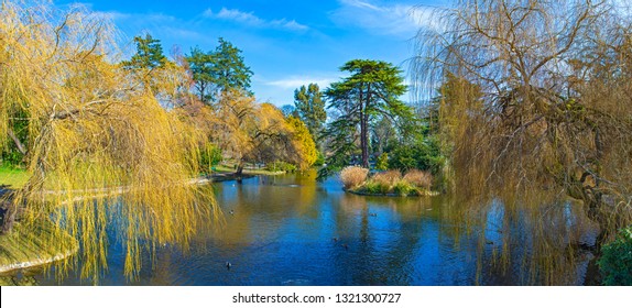 Panoramic View Of Beacon Hill Park During The Spring In Victoria, Vancouver Island, Canada