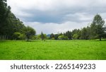 panoramic view of beautiful grass field and sky in cajamarca