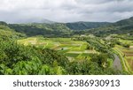 Panoramic view of the beautiful Hanalei Valley from the Hanalei Valley Lookout in Princeville, Kauai, Hawaii, United States. 

