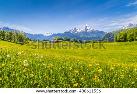 Panoramic view of beautiful landscape in the Alps with fresh green meadows and blooming flowers and snow-capped mountain tops in the background  on a sunny day with blue sky and clouds in springtime