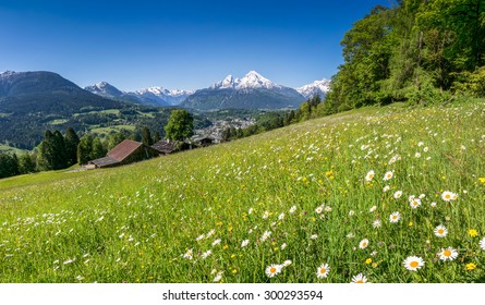 27,547 Bavaria flowers Images, Stock Photos & Vectors | Shutterstock