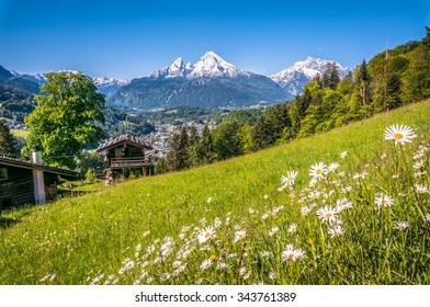 64,783 Switzerland flower Images, Stock Photos & Vectors | Shutterstock