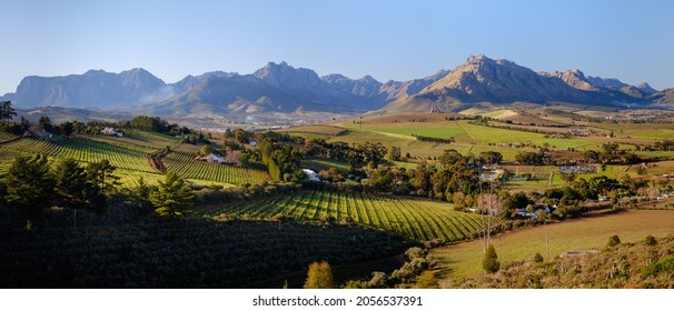 Panoramic View Of Beautiful Vineyards And Mountain Scenery Around Stellenbosch, South Africa.