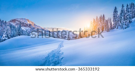 Panoramic view of beautiful winter wonderland mountain scenery with traditional mountain cabin the background in the Alps in golden evening light at sunset