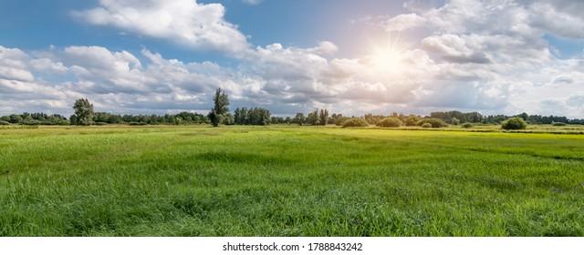 Panoramic view of a Belgian nature and meadow landscape during sunset. Beautiful grass field in the countryside. - Shutterstock ID 1788843242