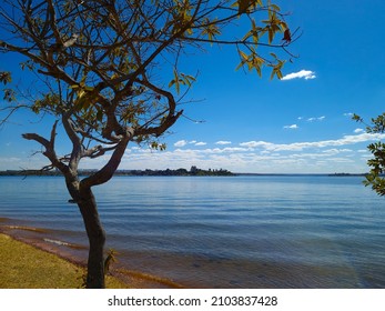 Panoramic View Of Brasilia (Federal District - Brazil) City And Paranoá Lake Seen From Dom Bosco Ecologic Park.