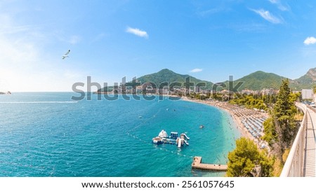 Panoramic view of Budva beach in Montenegro with turquoise waters, green hills, sunny skies, and a seagull flying above, creating a perfect summer vacation scene