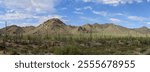 Panoramic view of cactus on the desert against peaks of rocky mountain at Saguaro National Park, Arizona, USA
