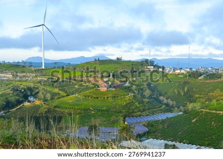Panoramic view of Cau Dat tea hills