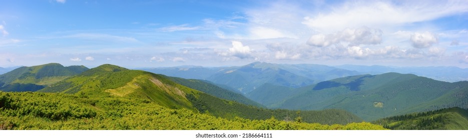 panoramic view in to the chornohora ridge valley. stunning landscape of carpathian mountains on a bright forenoon in summer. forested hills and grassy meadows beneath a bright blue sky. travel ukraine