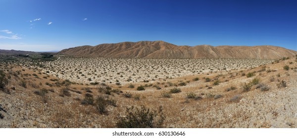 Panoramic View Of Coachella Valley 