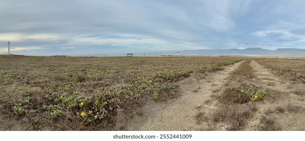 A panoramic view of a coastal meadow with a dirt path winding through, leading towards a distant lighthouse and a stunning ocean view. - Powered by Shutterstock