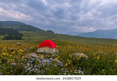 Panoramic view of Colorado landscape, Camping red tent in the middle of Wildflower meadow near Crested Butte. - Powered by Shutterstock