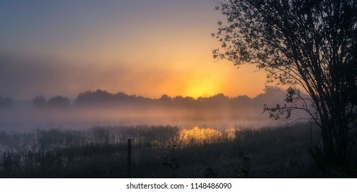 A panoramic view of a colorful misty sunrise over a fen