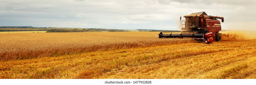  Panoramic view at combine harvester working on a wheat field. Harvesting the wheat. Agriculture. Panoramic banner.