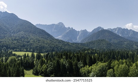  A panoramic view of a dense forest extending towards a dramatic mountain range under a bright, clear sky. The contrast of lush greenery with rugged peaks creates a picturesque and tranquil scene. - Powered by Shutterstock