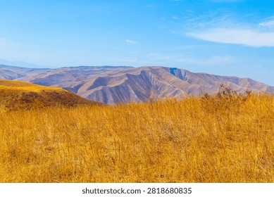 Panoramic view of dry, hilly landscape in Kyrgyzstan, featuring golden-brown grass and rugged hills. Clear blue sky enhances the arid scenery under bright daylight.