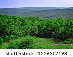 A panoramic view of the eastern Ozarks, in Missouri, from the top of Taum Sauk Mountain
