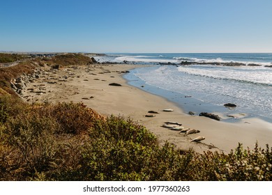 Panoramic view of the Elephant Seal Vista Point, California State Park, USA - Shutterstock ID 1977360263
