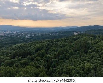 A panoramic view from an elevated vantage shows a dense forest covering rolling hills, with a distant town nestled in the valley as warm sunset light bathes
