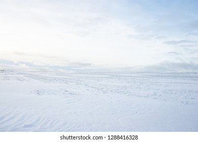 268,937 Snow field with trees Images, Stock Photos & Vectors | Shutterstock