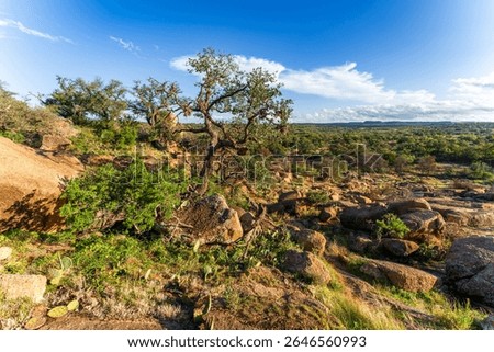 Panoramic View of Enchanted Rock State Natural Area, Texas, USA