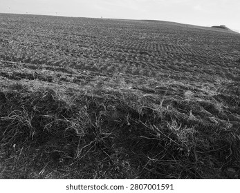 Panoramic view of endless summer fields and rolling hills under a sunny sky