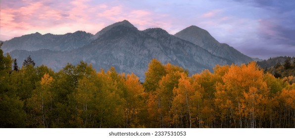 Panoramic view of fall foliage at Mt Timpanogos in Utah under twilight. - Powered by Shutterstock