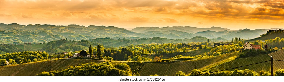 Panoramic view at famous wine street in south styria, Austrian destination, tuscany like vineyard hills. Tourist destination